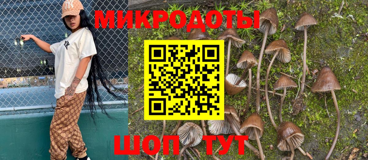 Галлюциногенные грибы Psilocybine cubensis Радужный