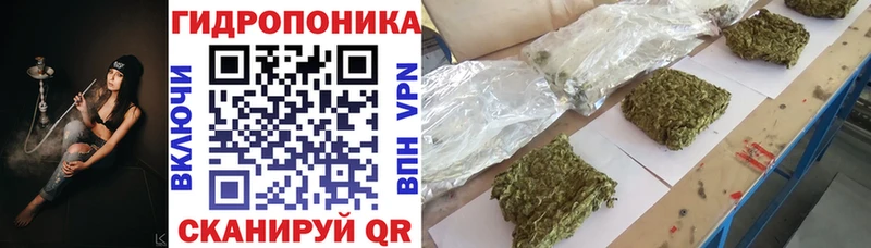 Бошки Шишки THC 21%  купить наркоту  Радужный 